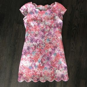 Sara Campbell summer dress
